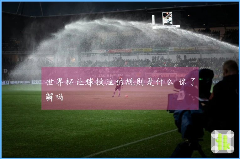 世界杯让球投注的规则是什么 你了解吗