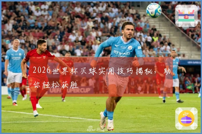 2026世界杯买球实用技巧揭秘，助你轻松获胜