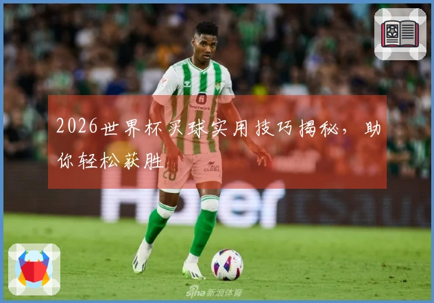 2026世界杯买球实用技巧揭秘，助你轻松获胜
