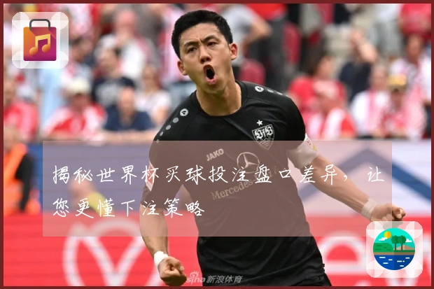 揭秘世界杯买球投注盘口差异，让您更懂下注策略