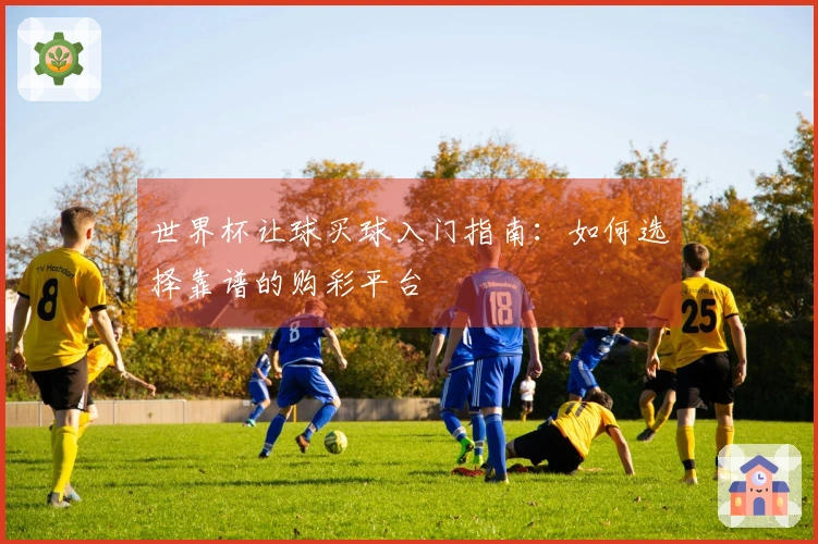 世界杯让球买球入门指南：如何选择靠谱的购彩平台