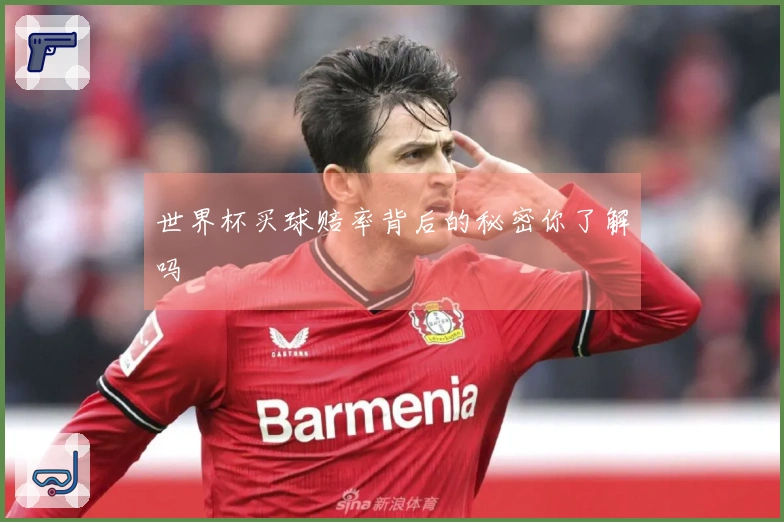 世界杯买球赔率背后的秘密你了解吗