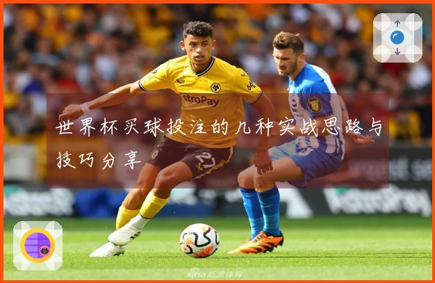 世界杯买球投注的几种实战思路与技巧分享
