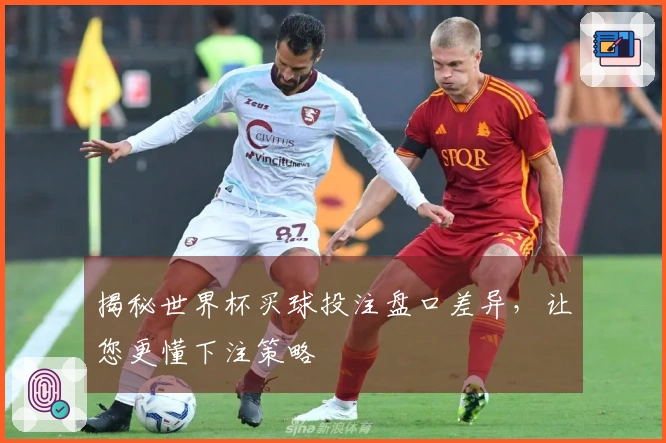 揭秘世界杯买球投注盘口差异，让您更懂下注策略