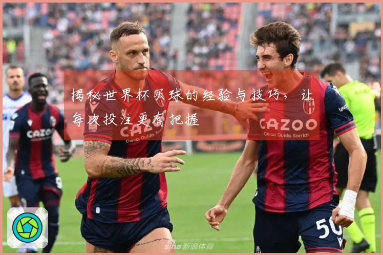 揭秘世界杯买球的经验与技巧，让每次投注更有把握