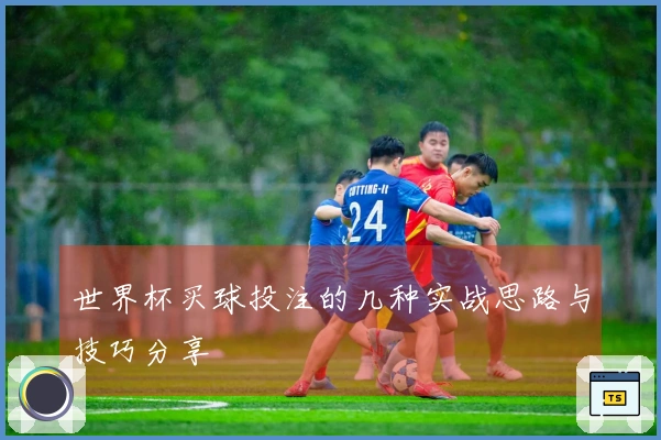 世界杯买球投注的几种实战思路与技巧分享