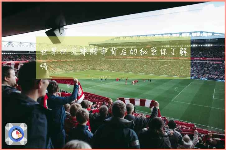 世界杯买球赔率背后的秘密你了解吗